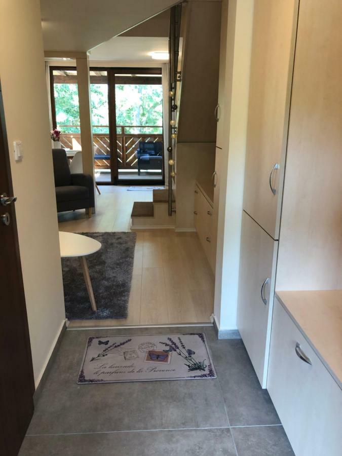 Beachfront Studio Apartman Aparthotel Balatonfůzfő Kültér fotó